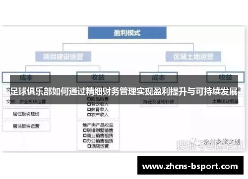 足球俱乐部如何通过精细财务管理实现盈利提升与可持续发展