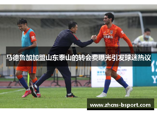 马德鲁加加盟山东泰山的转会费曝光引发球迷热议